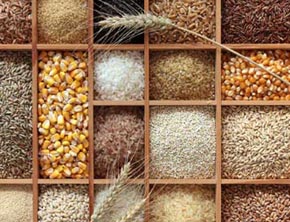 ترجمه- هندی: فواید غلات سبوس دار